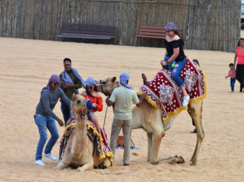 Morning Dune Bashing Dubai (Rate Per Car)